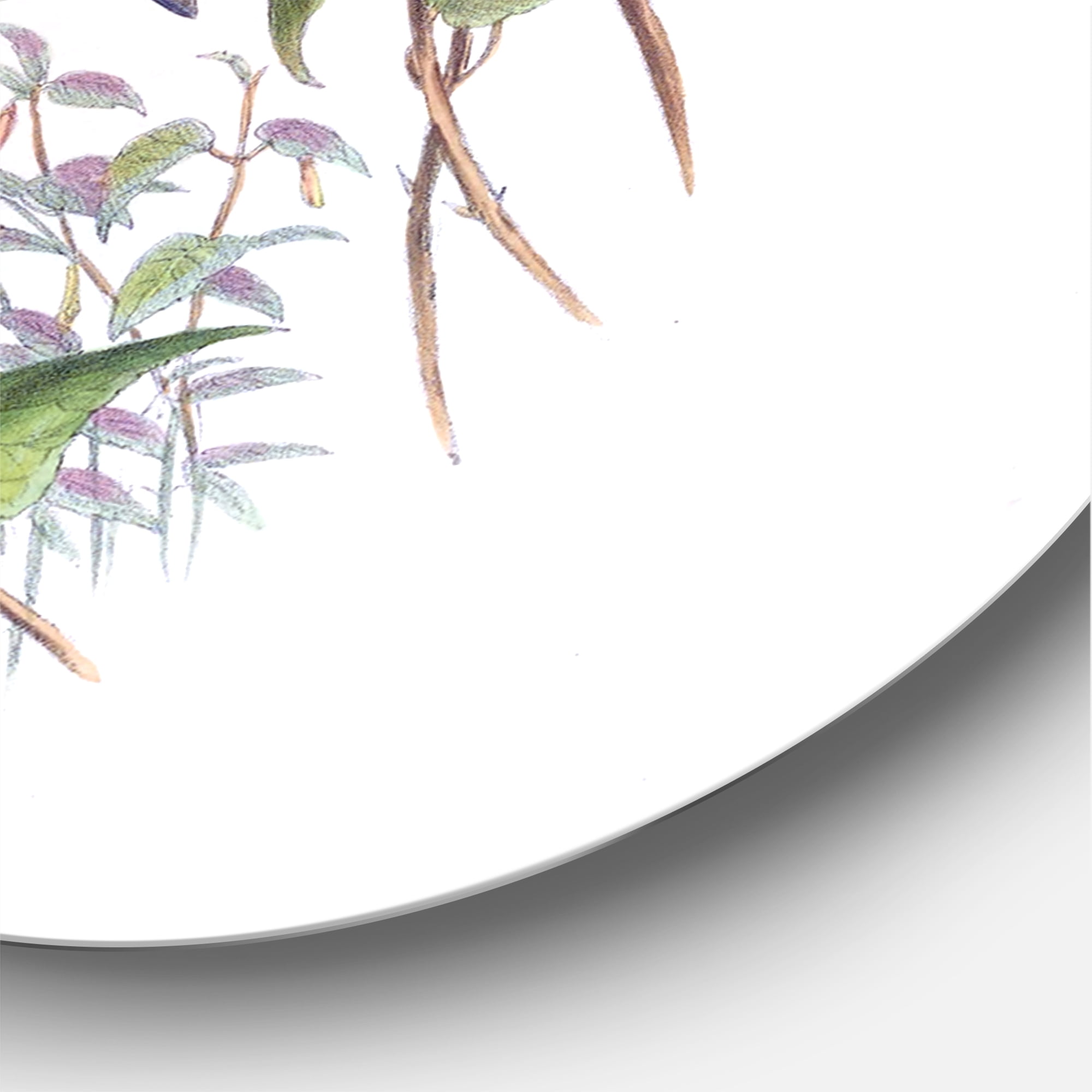 Designart 'Ancient Hummingbird I' Traditional Circle Metal Wall Art 23x23 - Disc of 23