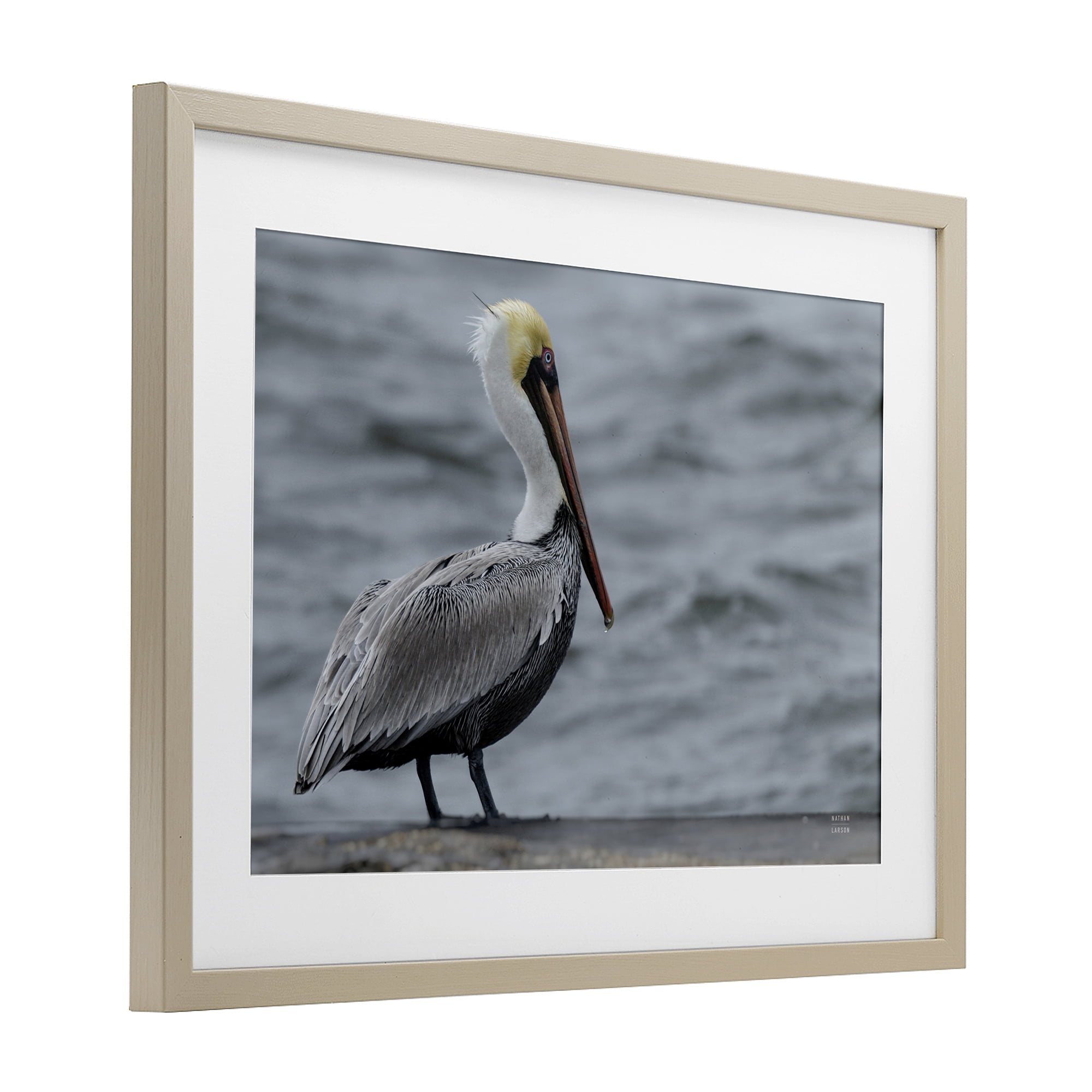 Stupell Industries Pelican Watch Photography Birch Framed Print Under Glass, design by Nathan Larson
