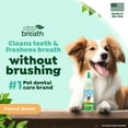 thumbnail image 2 of TropiClean Fresh Breath Clean Teeth Plaque Remover Pet Oral Care Gel 4 Ounce, 2 of 4