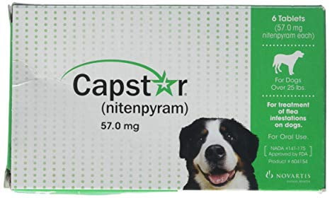 capstar flea medicine