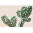 thumbnail image 2 of Kimberly, Allen 24x17 White Modern Wood Framed Museum Art Print Titled - Blush Cactus 1, 2 of 4
