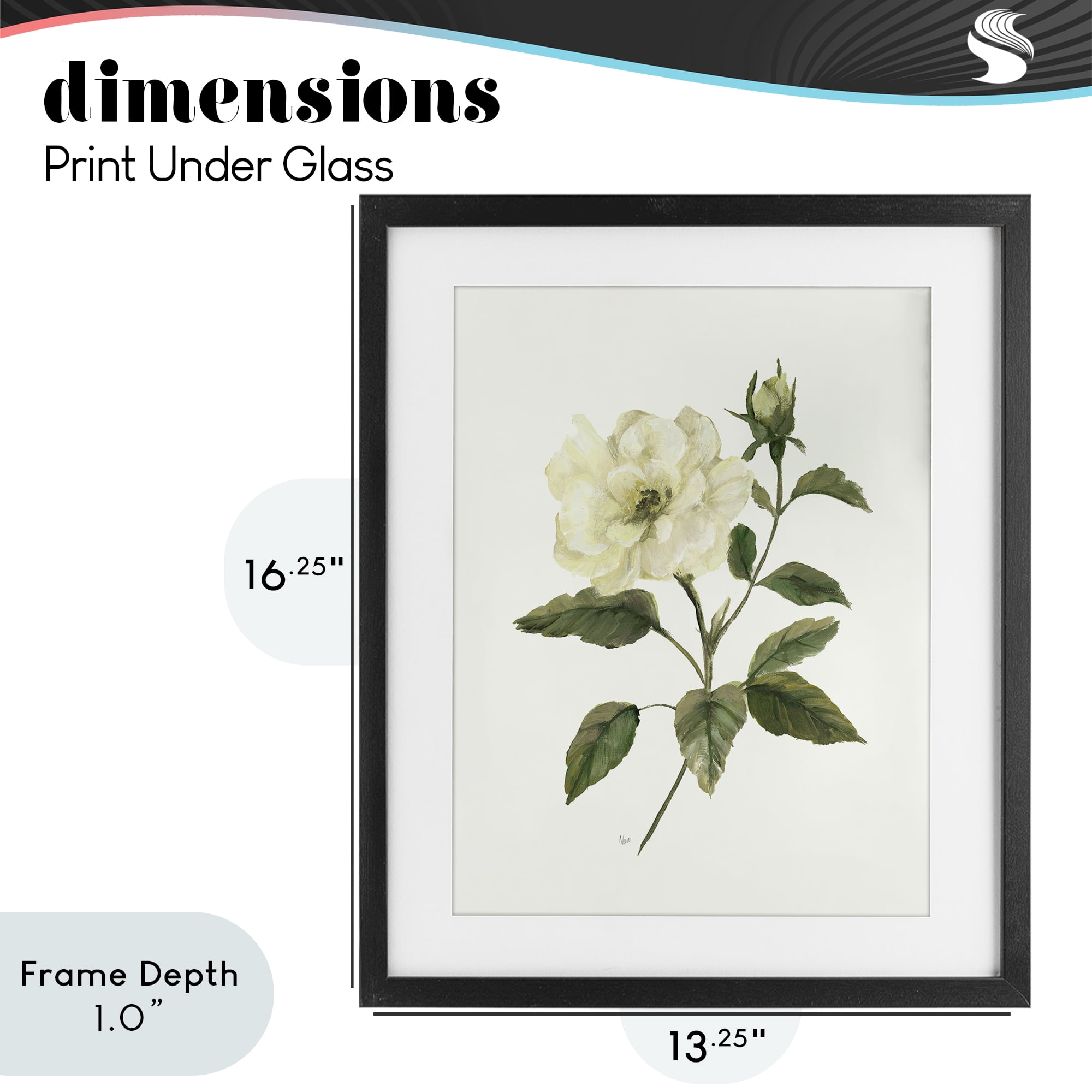 Stupell Industries Ivory Rose Bloom With Green Foliage Black Framed Print Under Glass, design by Nan