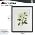 thumbnail image 4 of Stupell Industries Traditional Ivory Rose Bloom With Green Foliage Black Framed Print Under Glass, 13 x 16, by Nan, 4 of 8