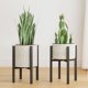 thumbnail image 1 of Soporte de metal ajustable para plantas interior exterior adapta macetas 8 a 12 pulgadas soporte moderno mediados siglo negro, 1 of 7