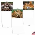 thumbnail image 5 of 10 All Occasion Blank Note Cards Pack (4 x 5.12 Inch) - ANIMAL SMACKERS M6594OCB, 5 of 6
