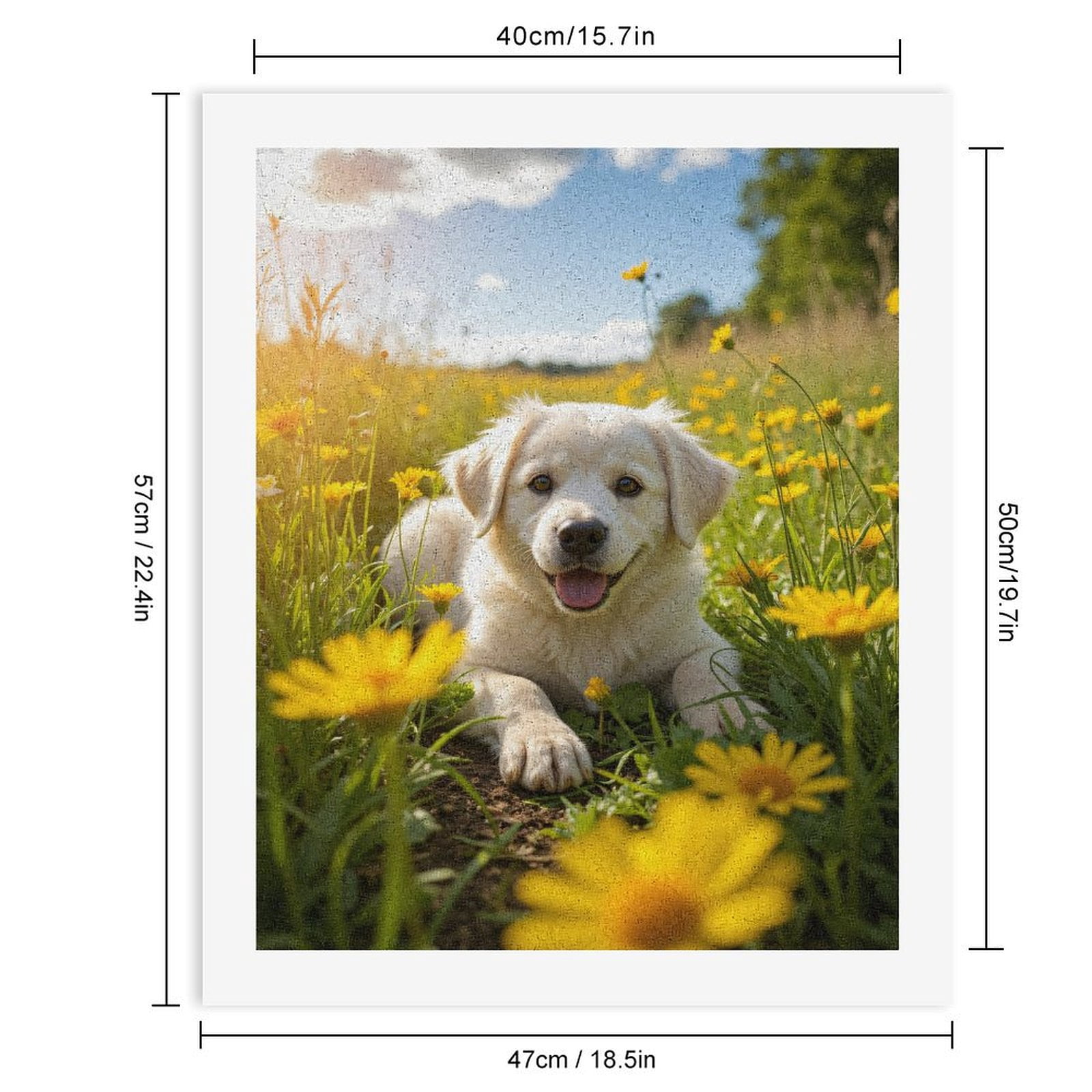 Paint By Numbers Kit for Adults Beginner - DIY Golden Field Happy Puppy Canvas Painting Kits for Adults, Frameless Paint By Number for Adults for Home Wall Decor 16x20 Inch