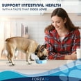thumbnail image 2 of Forza10 Active Intestinal Support Diet Dry Dog Food, 2 of 7