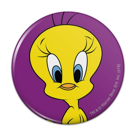 Looney Tunes Tweety Bird Kitchen Refrigerator Locker Button Magnet