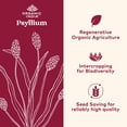 thumbnail image 2 of Suplemento ORGANIC INDIA Psyllium en polvo de grano fino 180 mlx2, 2 of 6