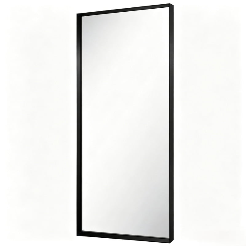 Easy4Home 21"x64" Rectangle Full Length Dressing Mirror Floor Standing Mirror Wall Mounted with Deep Frame,Black