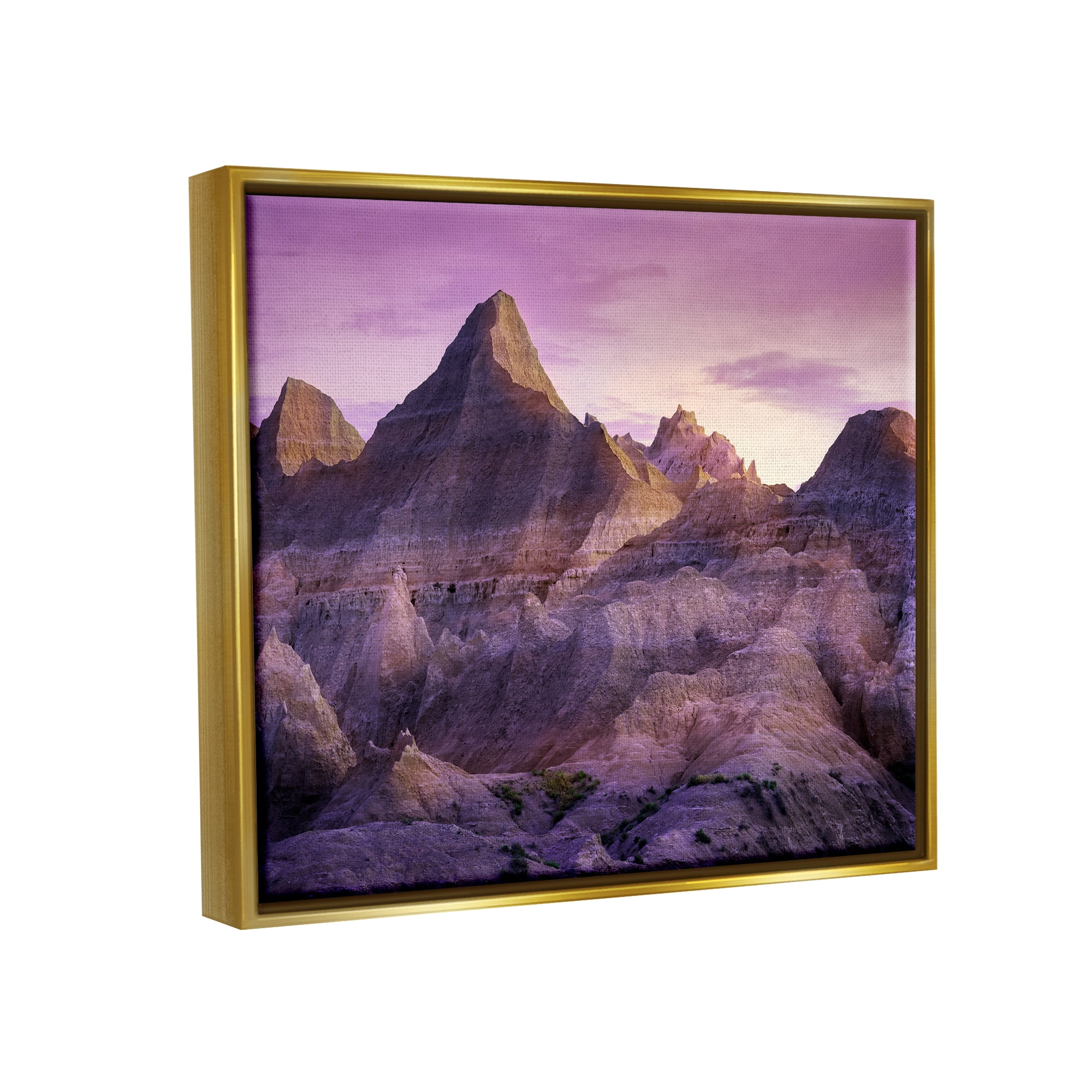 Stupell Badlands Canyon Cliffs Landscape Landscape Photography Gold Floater Framed Art Print Wall Art