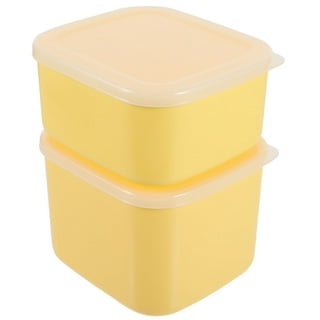 Vellsenne Cheese Container Airtight with Time Recording - Cheese Storage  Container for Fridge Cream Cheese Sliced Cheese Cheddar Container Cheese  Box