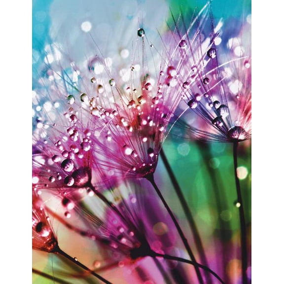Cornell Notetaking Notebook: Cornell Notebook: 130 Cornell Notetaking Pages - 8.5 x 11 Inches - Large Paperback (Paperback)