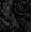 Black, variant on Soimoi Cotton Cambric Black Fabric By the Yard - 42 Inch Wide - Florals, Leaves Print Fabric - Elegant & Beautiful Patterns for Fashion and Home Decor Printed Fabric