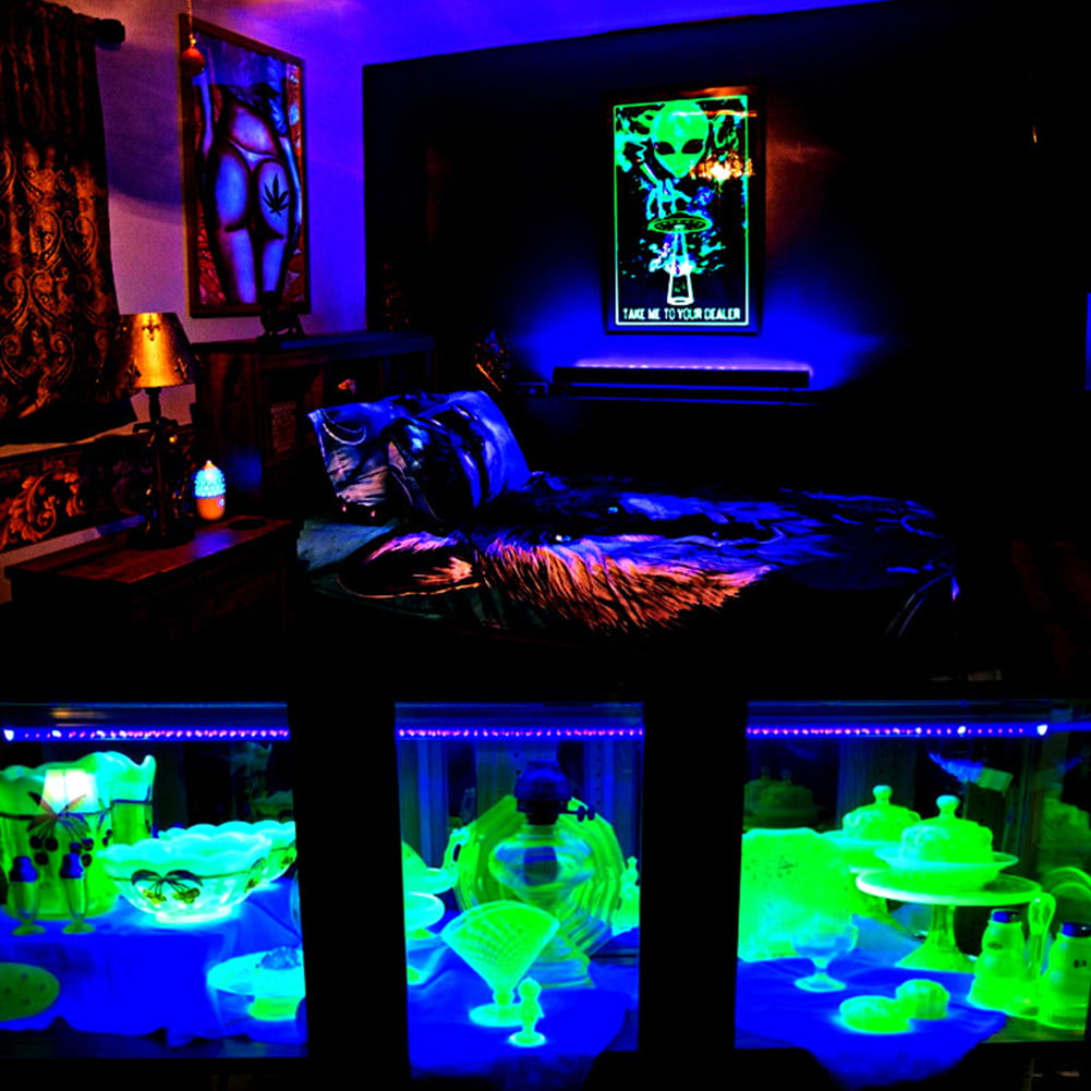 Blacklight Paint UV Mural  Black light room, Black lights bedroom, Glow  paint