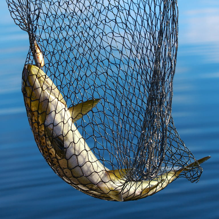 Cosmos Fishing Net Fish Landing Net Dip Net Fishing Replacement Net Without  Handle, Aluminum Alloy Fishing Land Net for Freshwater Saltwater - 14 Net