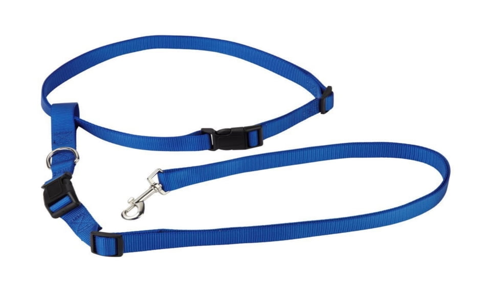 dog bike leash walmart