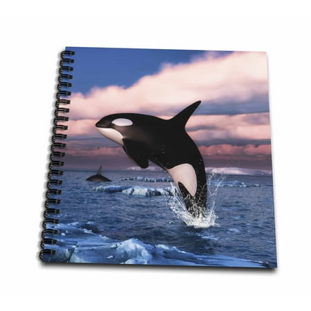 3dRose Orca killer whales swimming in the Arctic Ocean - Mini Notepad, 4 by 4-inch