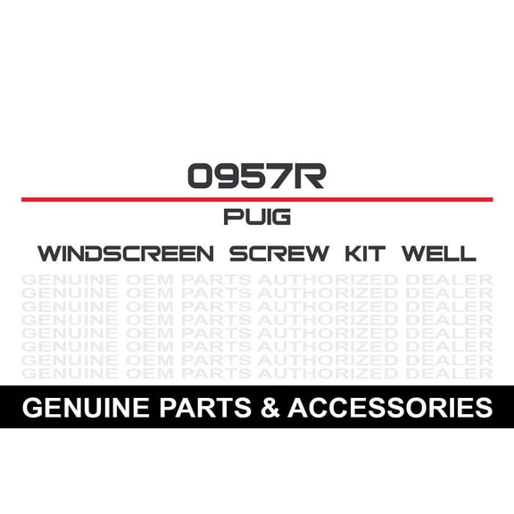 Puig Standard Windscreen Screw Kit | Red (0957R)