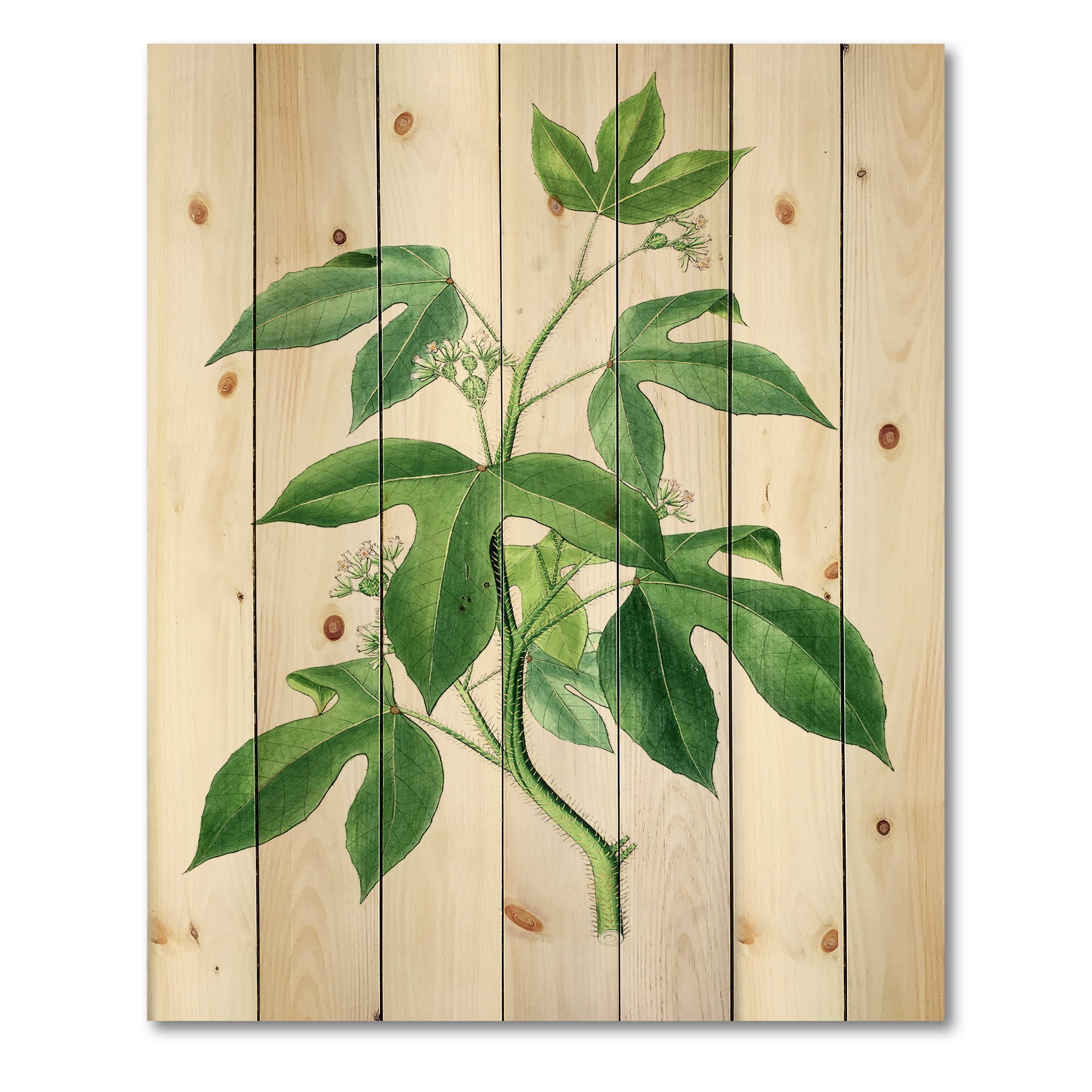 Designart 'Ancient Green Leaves Plants V' Traditional Print on Natural Pine Wood