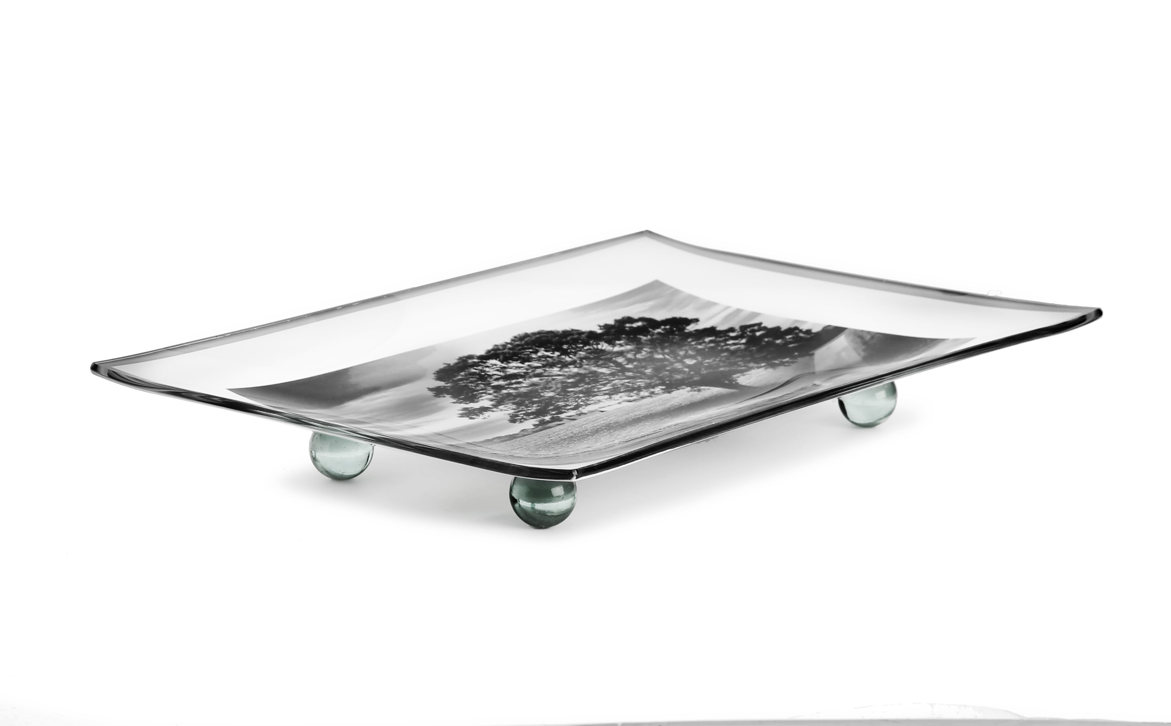 GAC Unique Landscape Design Rectangular Tempered Glass Serving Tray on