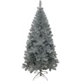 thumbnail image 1 of 6 ft. Silver Point Pine Tree, 1 of 1