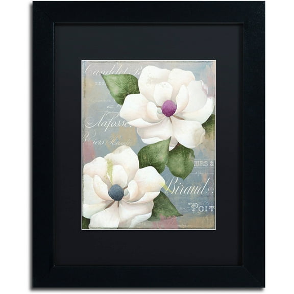 Trademark Fine Art "Southern Charms" Canvas Art by Color Bakery Black Matte, Black Frame