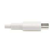 Tripp Lite Lightning To Usb C Sync / Cable Iphone Ipd Usb Type C Usb-c Usb Type-c 3ft Usb Cable Usb-c (m) To Lightning (m) Usb 2.0 20 V 3 A 3 Ft White