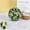 S, variant on Clearance Under $20 Half Artificial Flower Balls White Flower Topiary Ball Plastic For Wedding Centerpiece Hanger Party Floral Pomander (F) (2Pc)