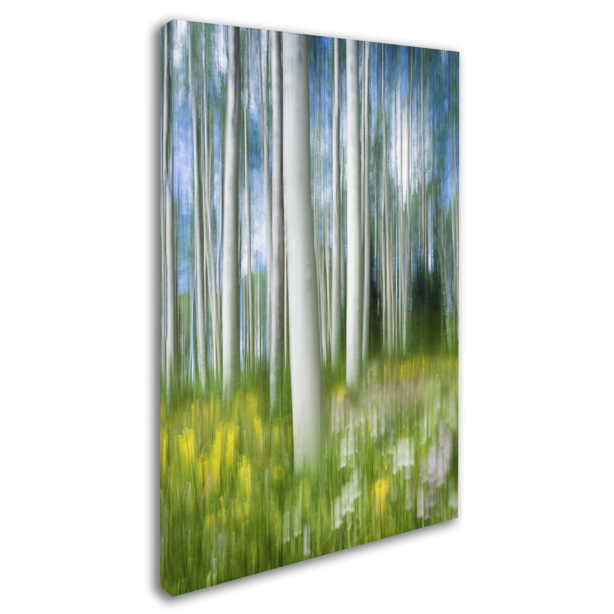 Trademark Fine Art "Aspen Impression" Canvas Art by Michael Blanchette Photography