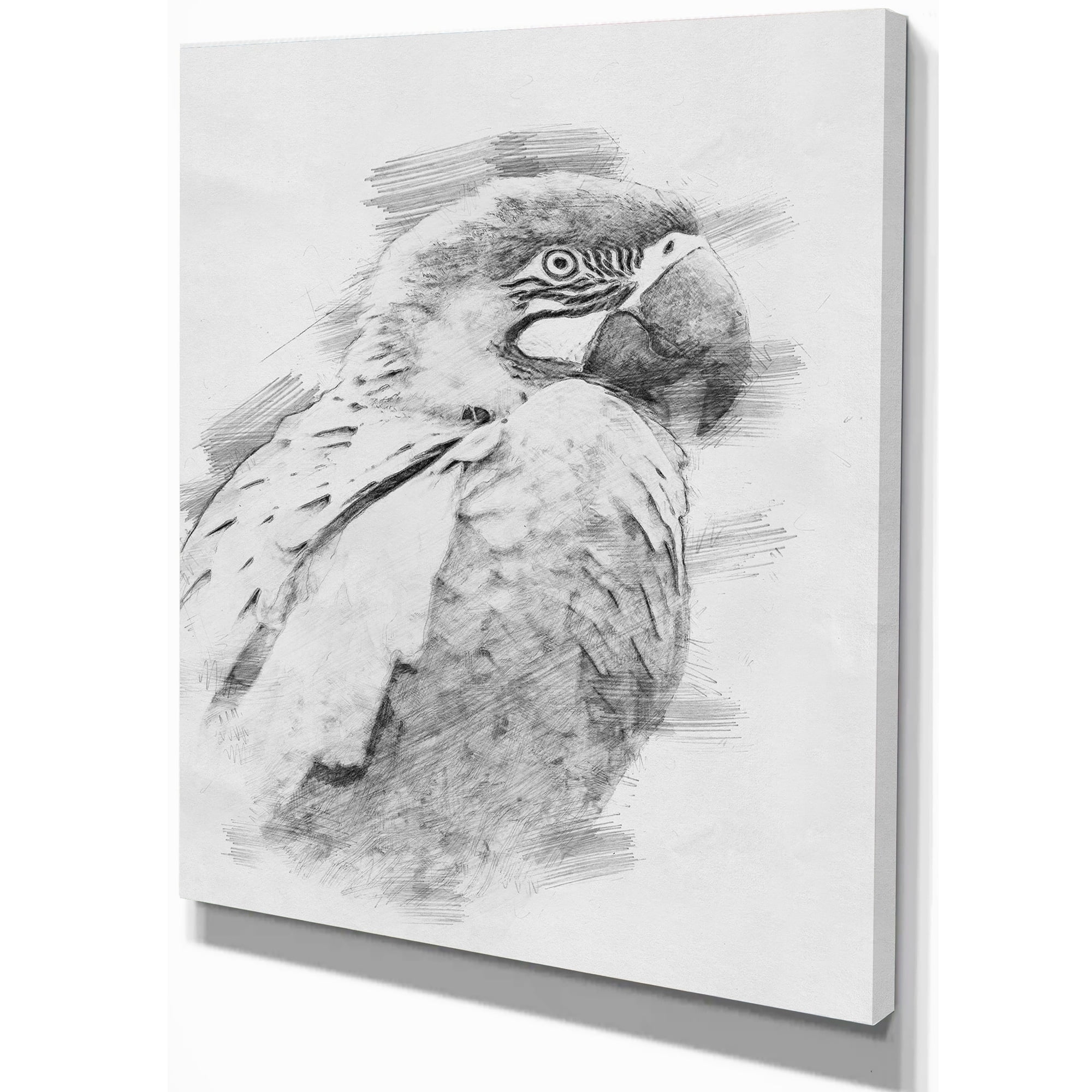 How To Draw Different Animal Prints : How To Draw Animals An Easy