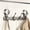 Gray-4 hooks, variant on Qczoyp 3 Dual Suction Cup Hooks Bar, Bathroom, Kitchen, Home, Glass, Mirror, Tile. Reusable, ABS+Aluminium, Waterproof, Rustproof, No Drill. Hang Towel, Robe, Loofah, Sponge, Coat (Gray, 3 Hooks)