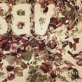 thumbnail image 2 of Predawn Absence (CD), 2 of 2