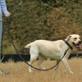 thumbnail image 6 of 2 Packs Dog Leash, Heavy Duty Nylon Braided Rope Dog Leash, Comfortable Padded Handle Strong Leashes for Large, Medium and Small Dogs, 6 of 8