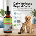 thumbnail image 2 of POLHIDE Calming Oil Dog and Cat Calming Supplement, L-Theanine 30 mg & Melatonin 1 mg Liquid Drops, 2 fl oz / 60 mL, Chicken Flavor, 2 of 9