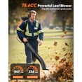 thumbnail image 3 of 75.6cc Gas Leaf Blower Backpack 847CFM 2-Cycle Ergonomic Harness System 236 MPH Low Vibration and Cruise Control Powerful Gas Blowers for Lawn Yard Care, 3 of 9