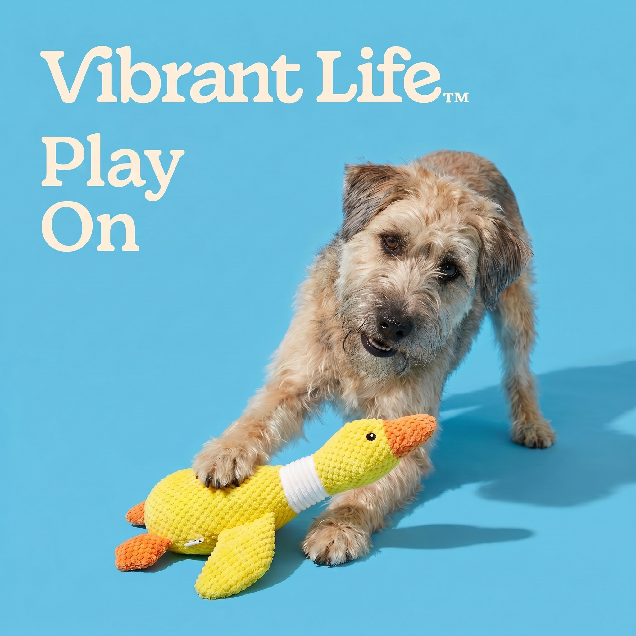 Vibrant Life Yellow Duck Plush Dog Toy with Squeaker photo 4