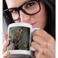 thumbnail image 2 of 3drose, Pyrrhuloxia Bird, Rio Grande Valley, Texas - Na02 Rnu0732 - Rolf Nussbaumer, 11oz Mug, 2 of 6
