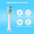 thumbnail image 4 of Cabezas de Cepillo Dental Toolsy 10PCS Compatibles con 7AM2M, 4 of 7