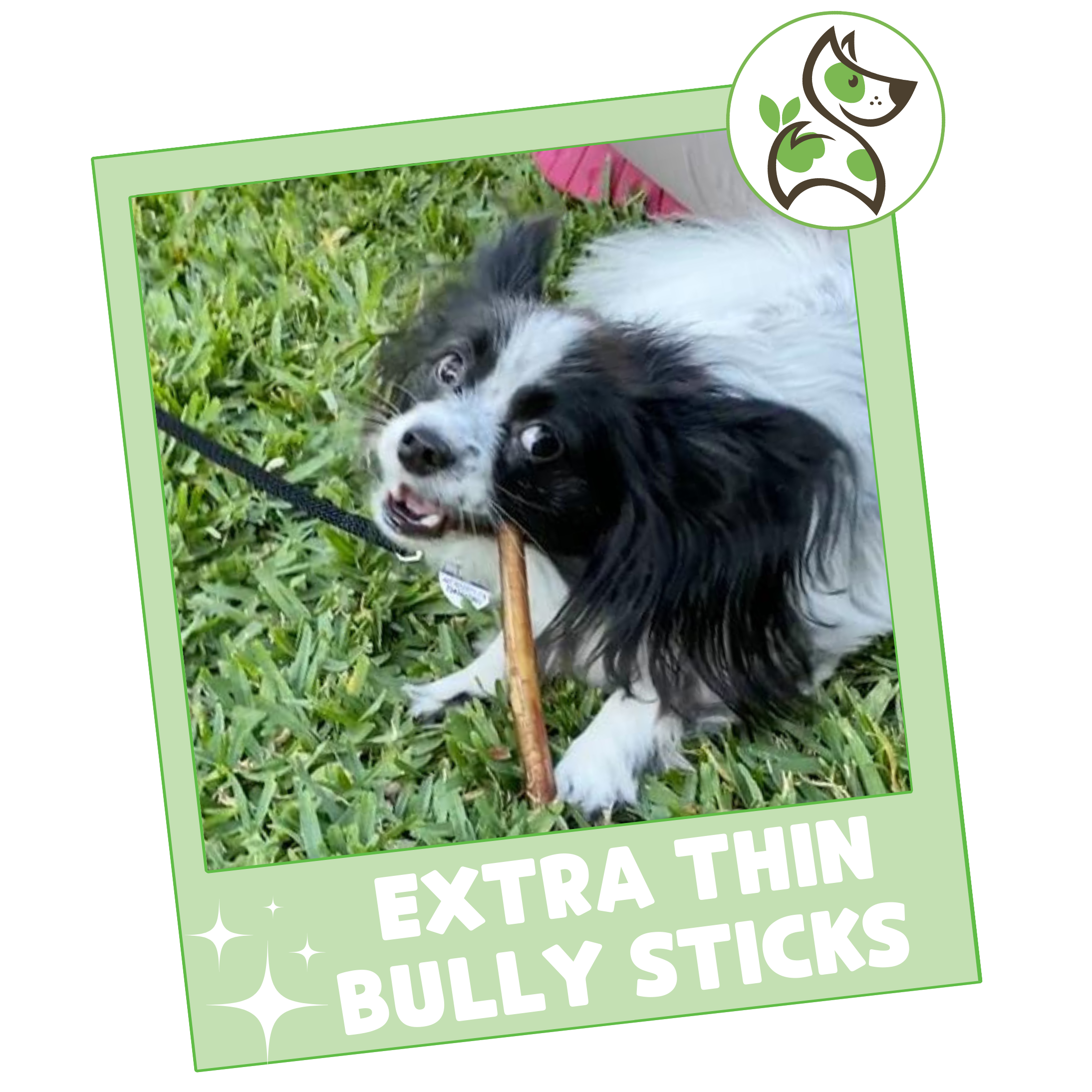 Nature Gnaws Extra Thin Bully Sticks for Small Dogs, 25 Count photo 7
