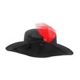 thumbnail image 2 of Sombrero pirata para cosplay, sombrero divertido para fiestas, festivales, disfraces y ., 2 of 8