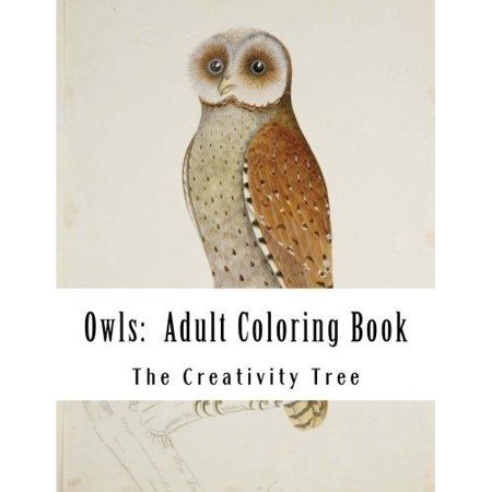 Owls Coloring Book Kamisco