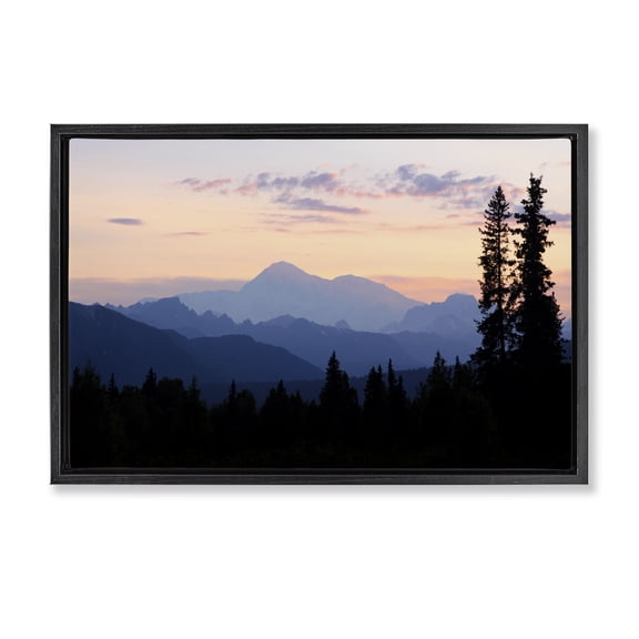 Stupell Industries Traditional Black Floating Frame Canvas Art, 25 x 17, by Shane Lamb