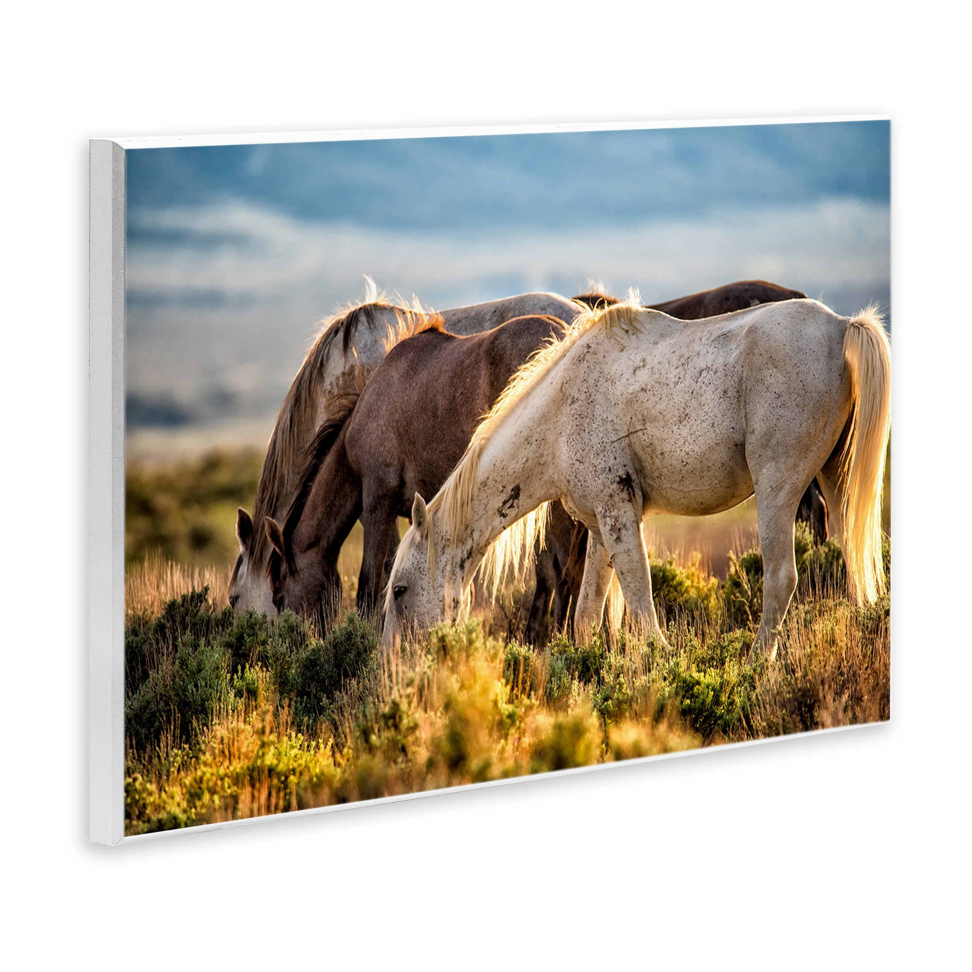 Stupell Industries Equine Evening Graze Wall Plaque Art, design by Tim West