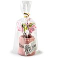 thumbnail image 2 of 8 tenedores de frutas de acero inoxidable 201, palillos de frutas (rosa) JAMW Sencillez, 2 of 2