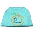 thumbnail image 1 of Lil Punkin Screen Print Dog Shirt Aqua Sm (10), 1 of 1