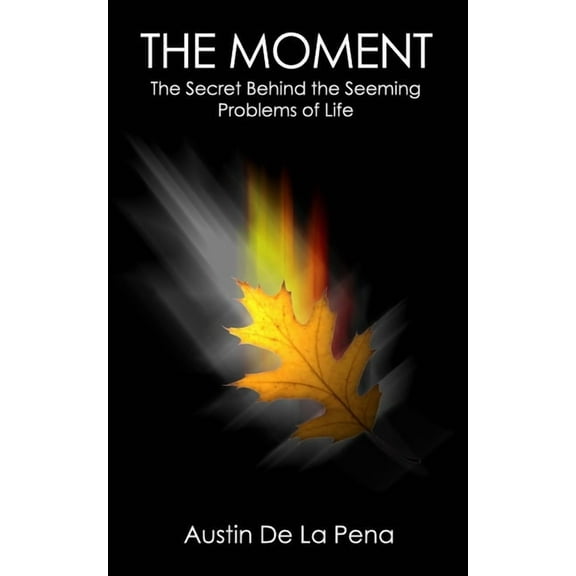 The Moment : The Secret Joy Hidden Beneath the Sorrows of Life (Paperback)