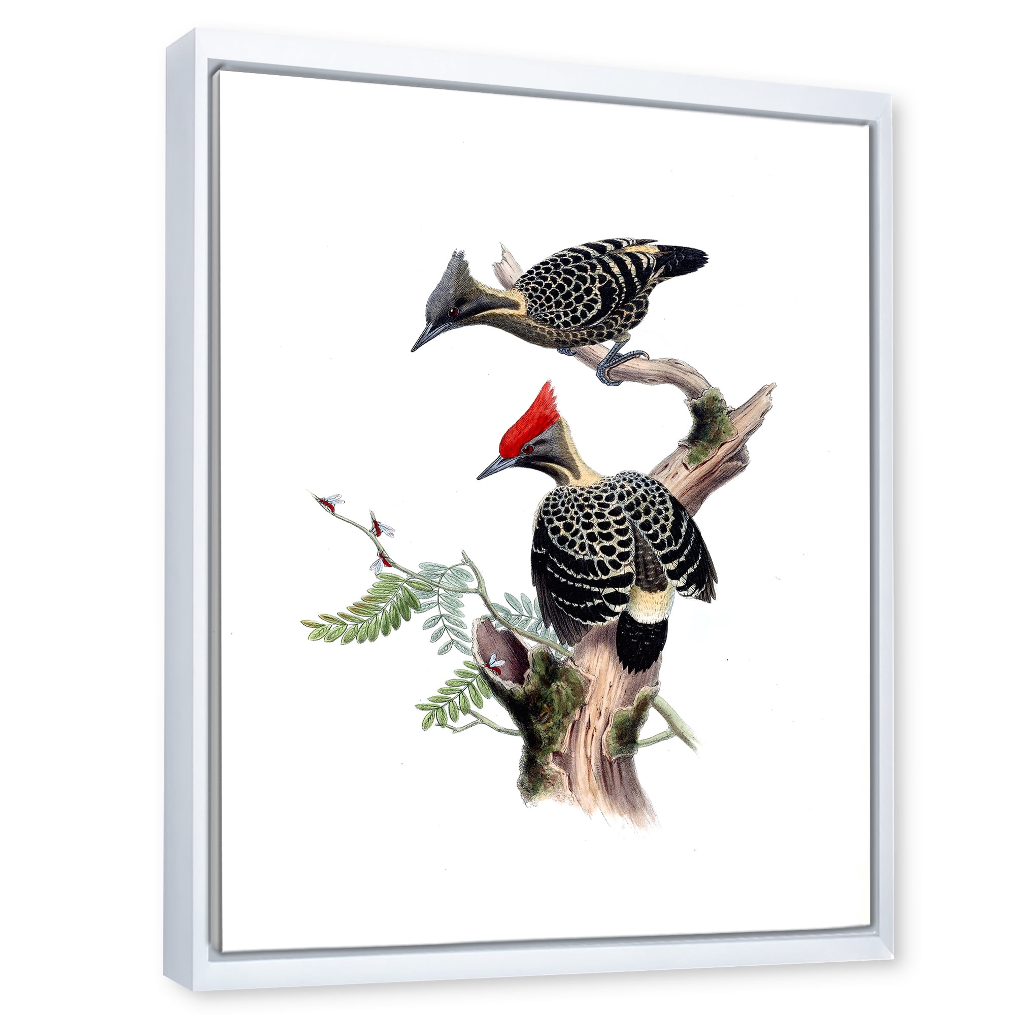 Designart 'Ancient Birds In The Wild VI' Traditional Framed Canvas Wall Art Print