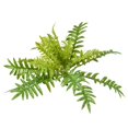 thumbnail image 1 of Vickerman FI191226 Fougère Verte de 26 Po, 1 of 2