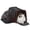 Black, variant on Petsfit Expandable Cat Carrier Dog Carriers,Airline Approved Soft-Sided Portable Pet Travel Washable Carrier for Kittens,Puppies,Removable Soft Plush mat and Pockets,Locking Safety Zippers